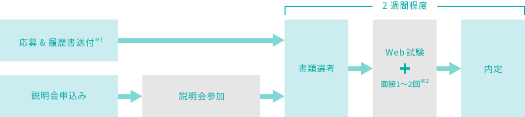 税理士採用ステップ