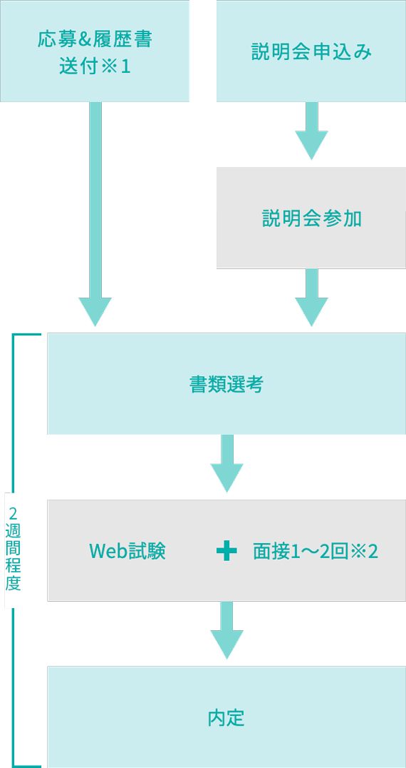 税理士採用ステップ
